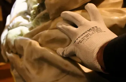 Il contributo di FERCAM Fine Art per la mostra “Bernini e i Barberini”